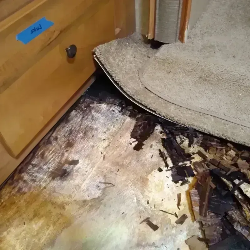 Best Wood Floor Water Damage Service in Dixmont, ME